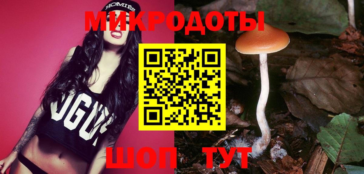 Подольск  Псилоцибиновые грибы мухоморы  Вход с VPN 